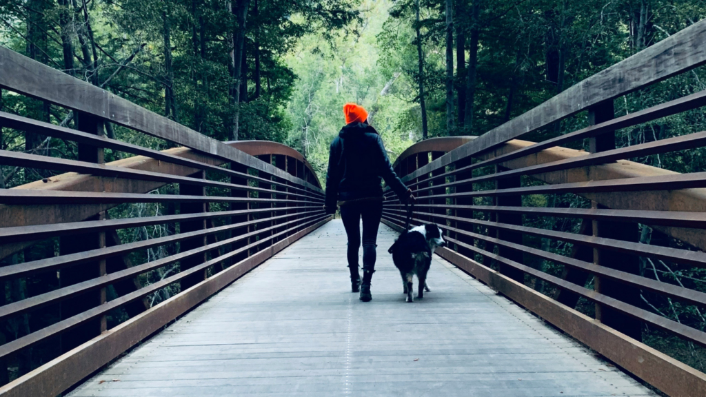 A woman in winter clothing walking her dog across a wooden bridge towards a forest