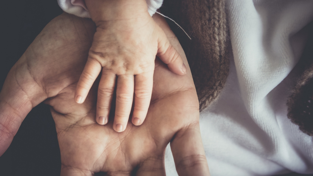 a toddler's hand rests upon the palm of an adult's hand