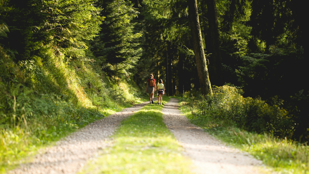 two young girls walk along a grassy path surrounded by greenery